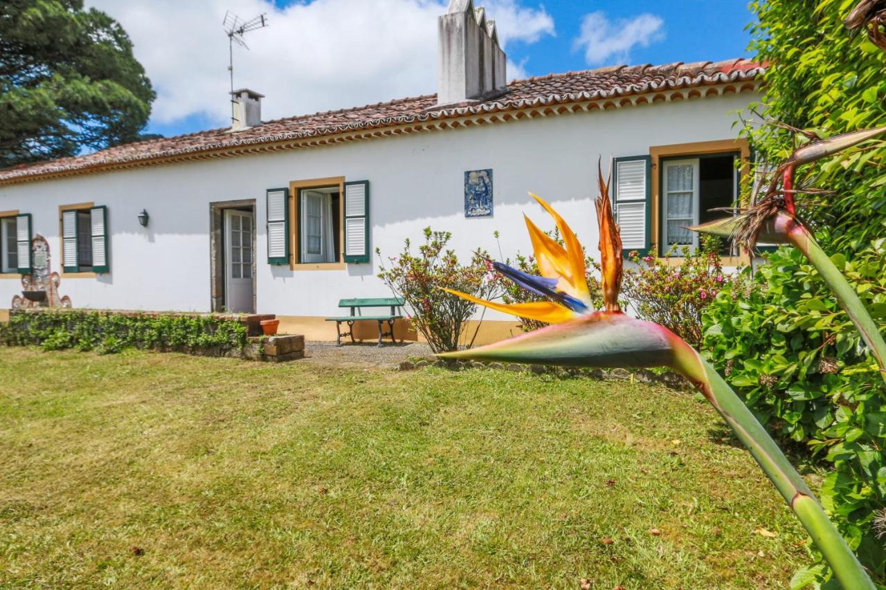 Вилла Domus Adepta Family W Garden Фурнаш Экстерьер фото